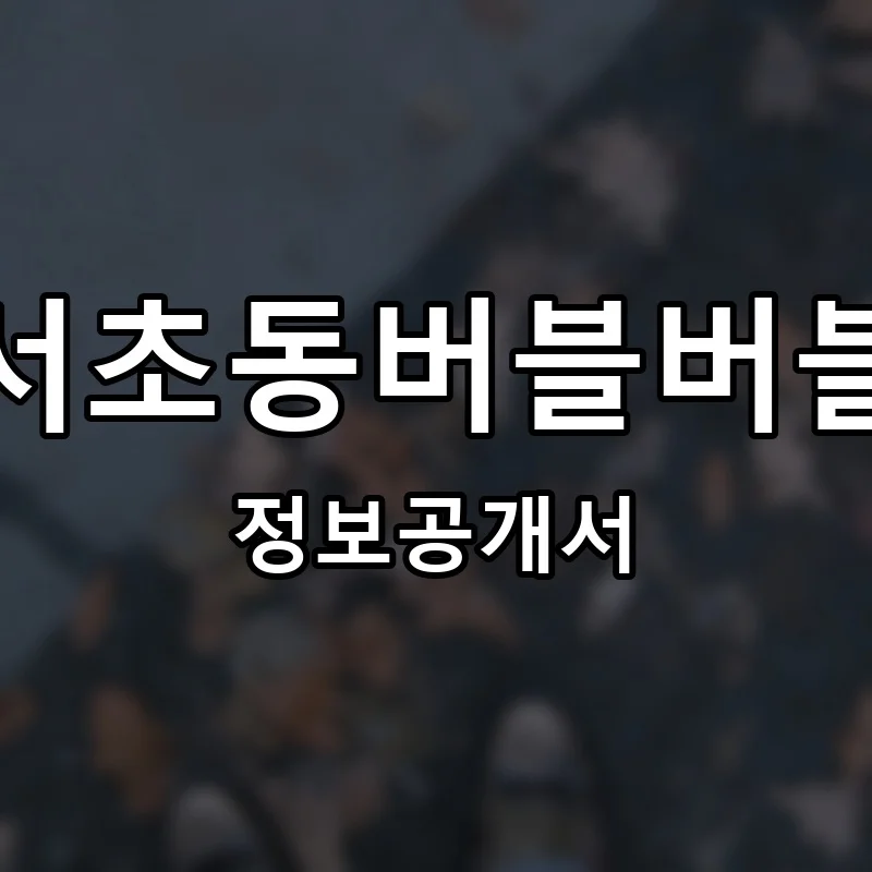서초동버블버블 프랜차이즈 창업 비용 정보공개서 요약