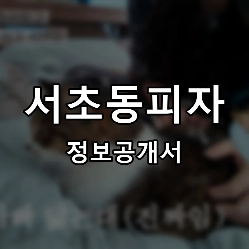 서초동피자 프랜차이즈 창업 비용 정보공개서 요약