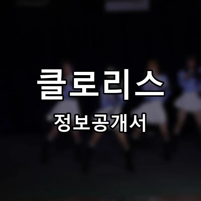 클로리스(CHLORIS) 프랜차이즈 창업 비용 정보공개서 요약