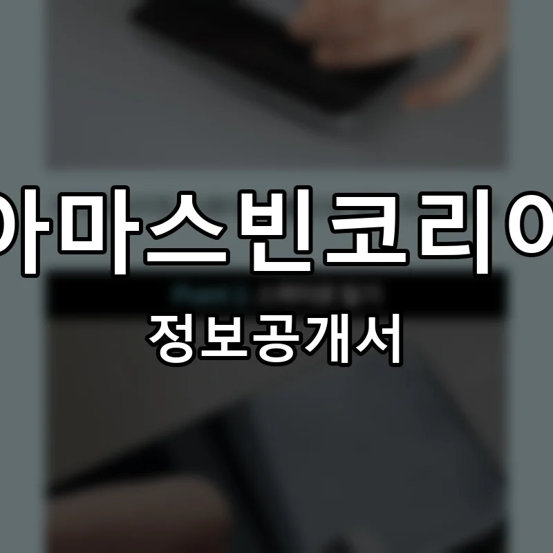 아마스빈코리아 프랜차이즈 창업 비용 정보공개서 요약