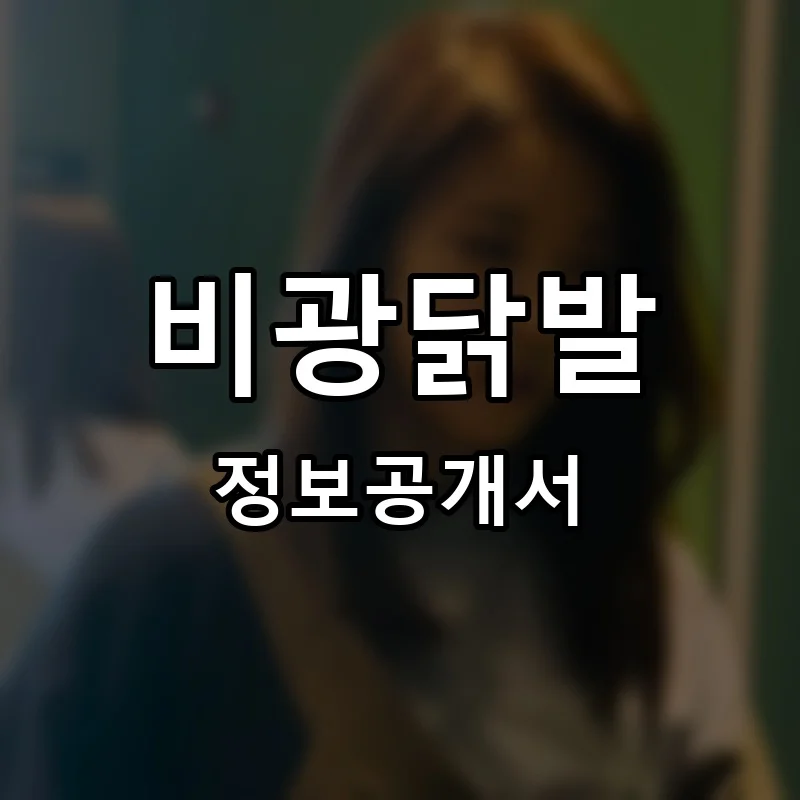 비광닭발 프랜차이즈 창업 비용 정보공개서 요약