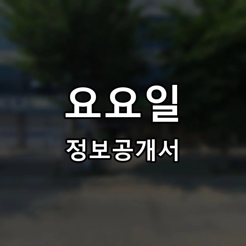 요요일 프랜차이즈 창업 비용 정보공개서 요약