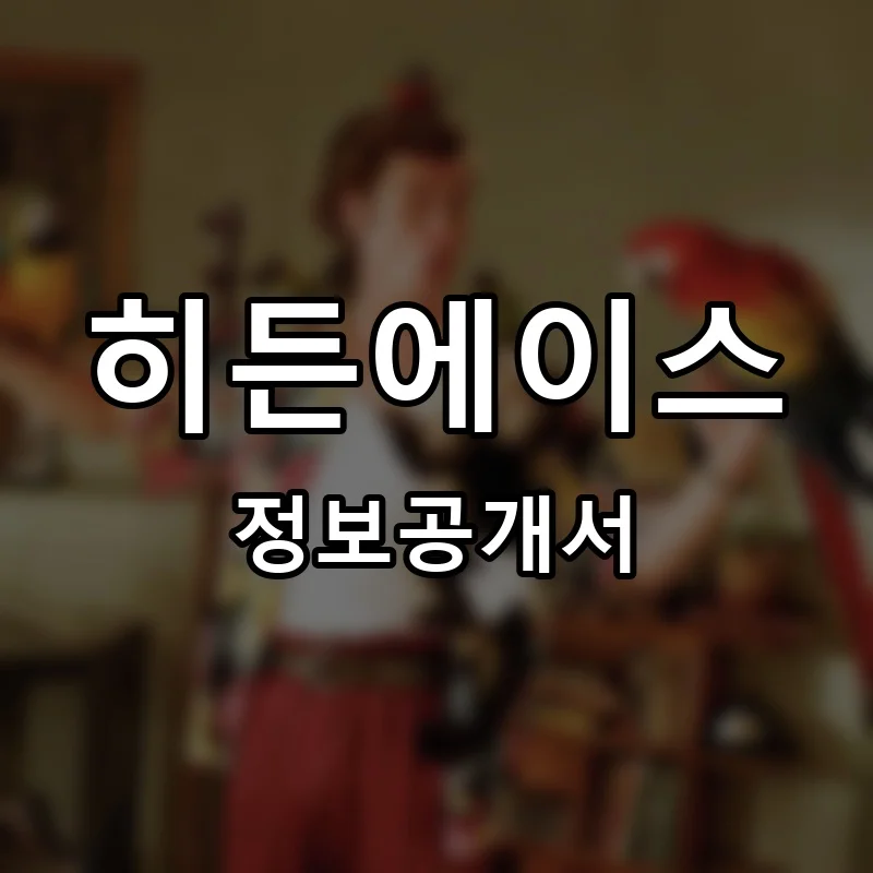히든에이스(Hidden Ace) 프랜차이즈 정보공개서