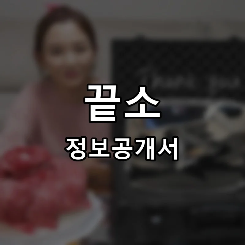 끝소 프랜차이즈 정보공개서 요약 2025.08.13