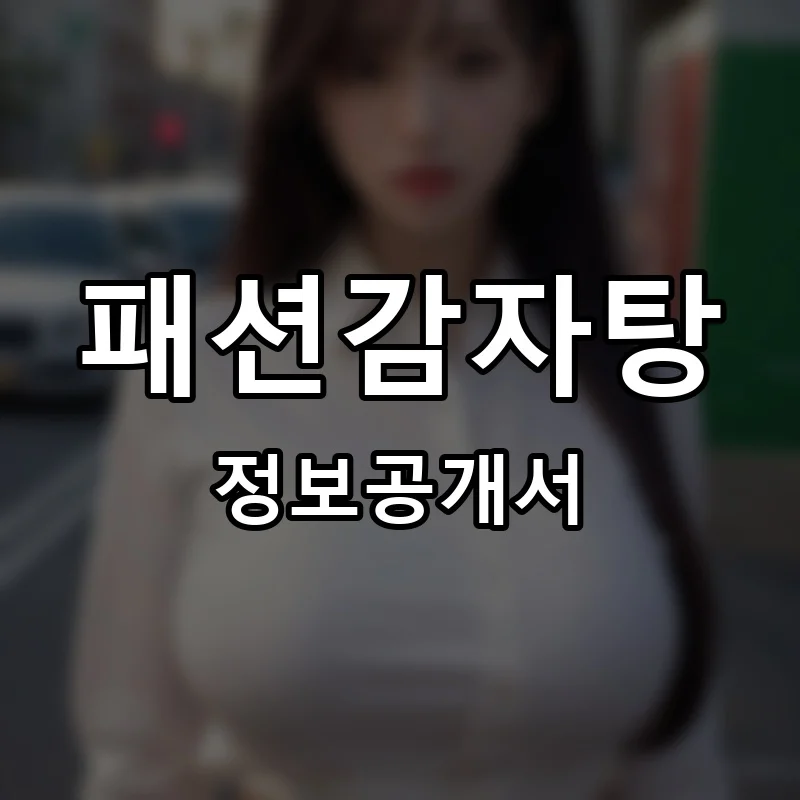 패션감자탕 프랜차이즈 창업 비용 정보공개서 요약