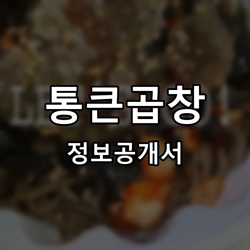 통큰곱창 프랜차이즈 정보공개서