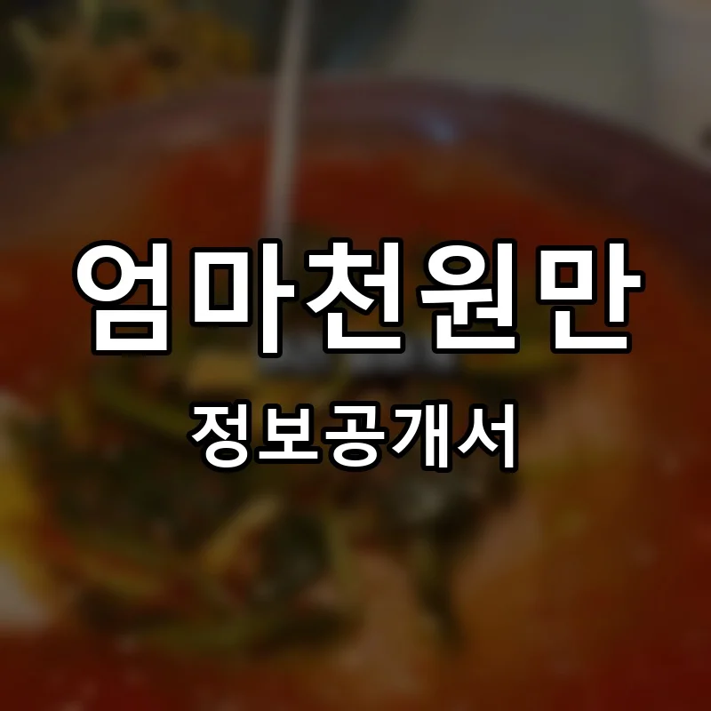 엄마천원만 프랜차이즈 정보공개서