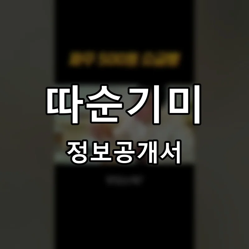 따순기미 프랜차이즈 창업 비용 정보공개서 요약