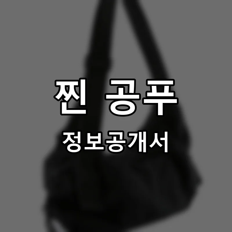 찐 공푸 프랜차이즈 창업 비용 정보공개서 요약
