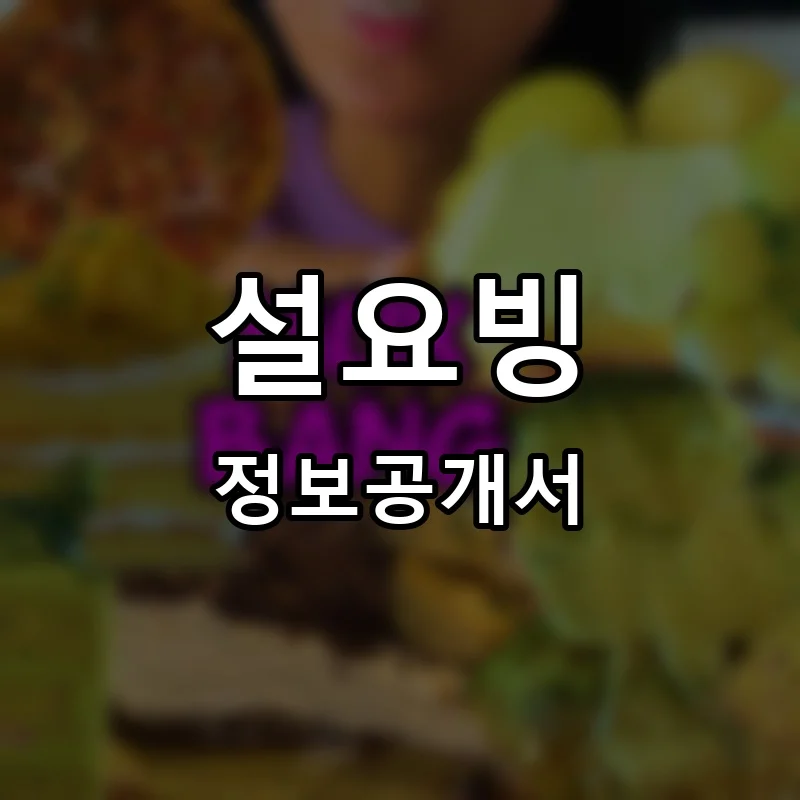 설요빙 프랜차이즈 창업 비용 정보공개서 요약