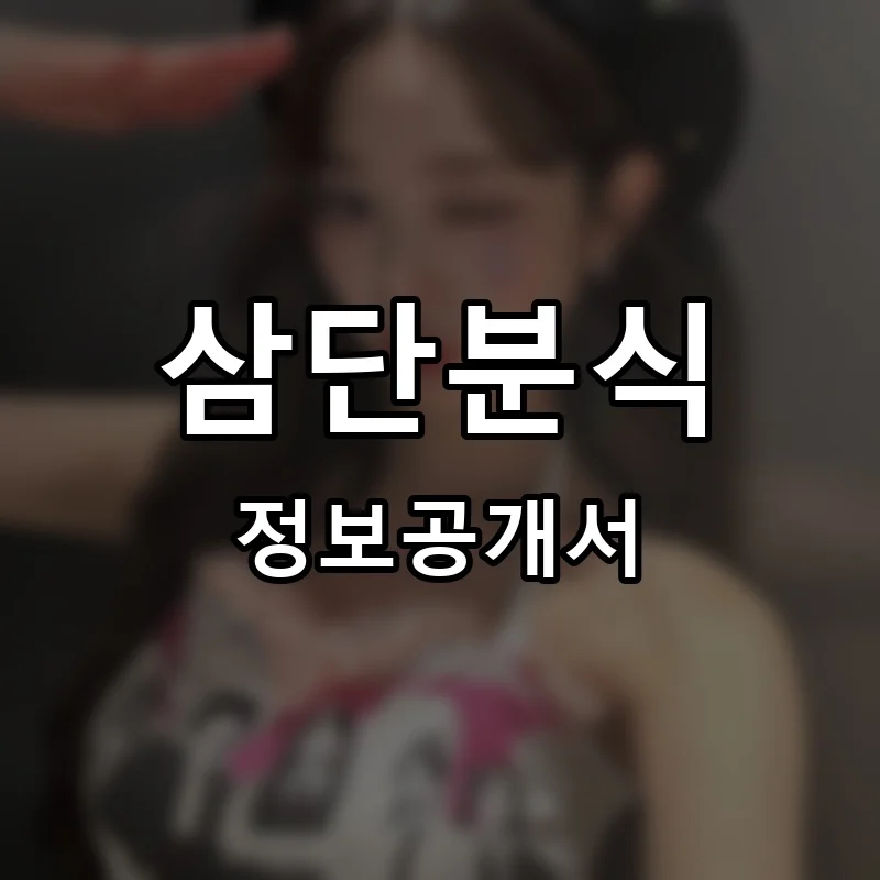 삼단분식 프랜차이즈 창업 비용 정보공개서 요약
