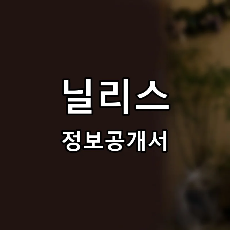 닐리스(Nilli’s) 프랜차이즈 정보공개서 요약