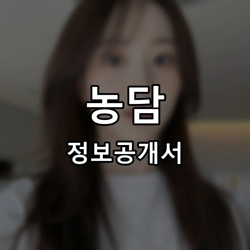 농담 프랜차이즈 창업 비용 정보공개서 요약