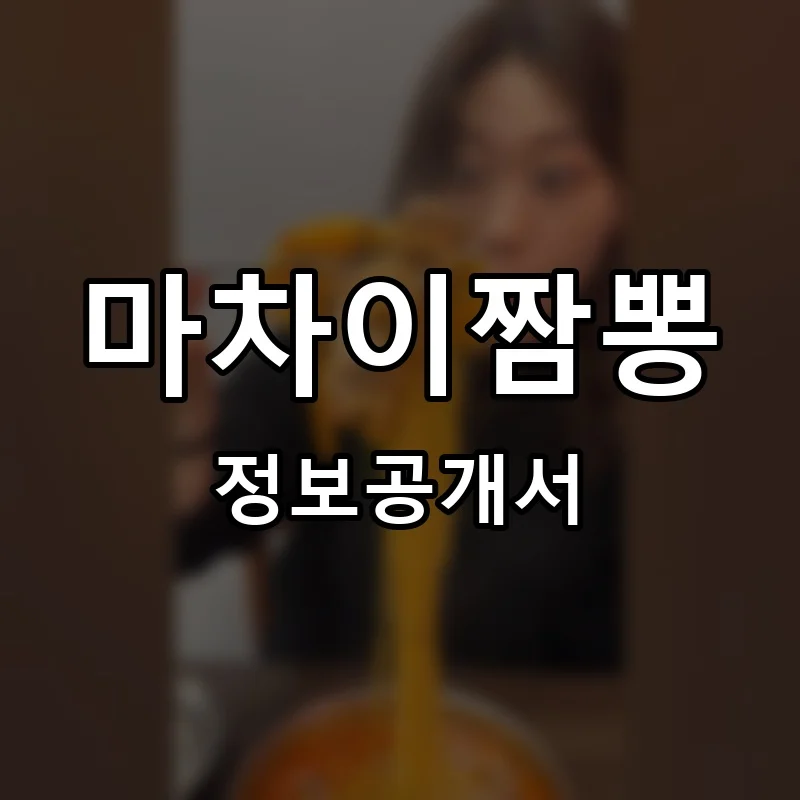 마차이짬뽕 프랜차이즈 창업 비용 정보공개서 요약