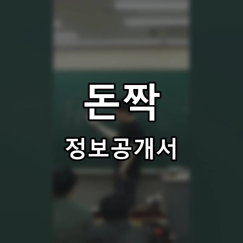 돈짝 프랜차이즈 정보공개서