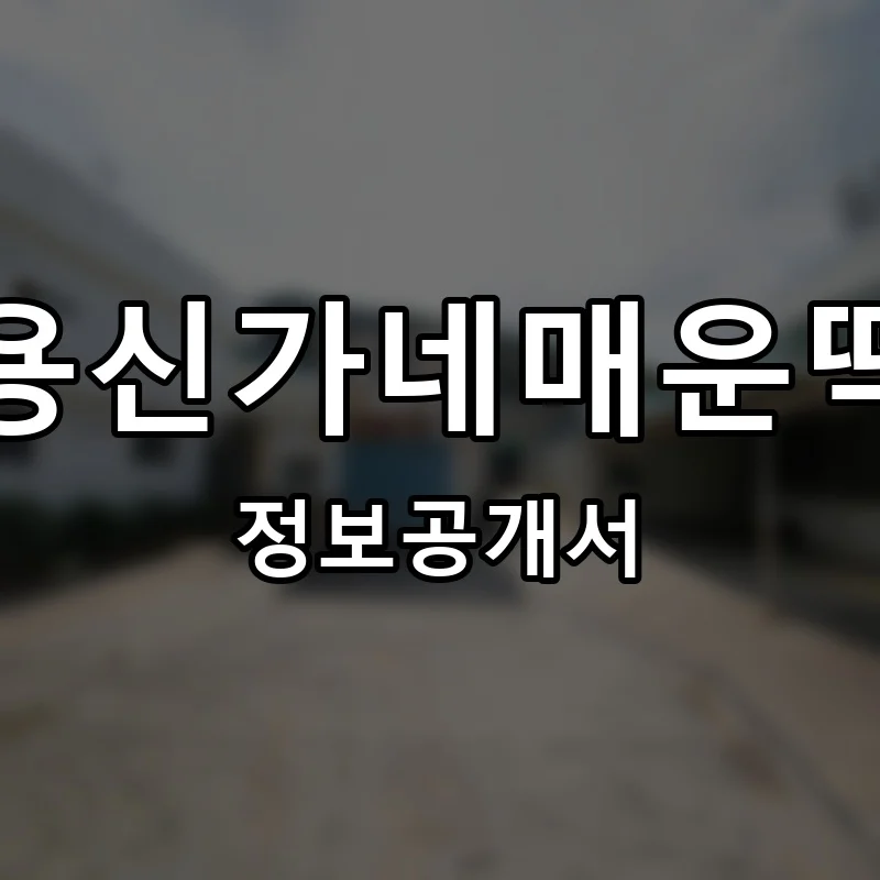 신만용신가네매운떡볶이 프랜차이즈 창업 비용 정보공개서 요약