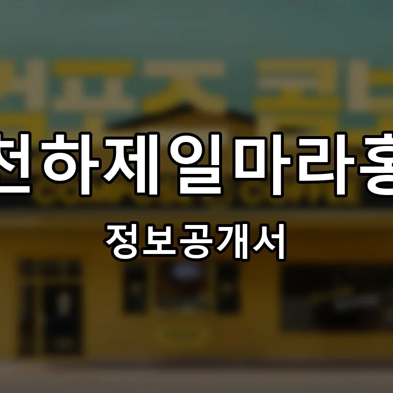 천하제일마라홍 프랜차이즈 창업 비용 정보공개서 요약