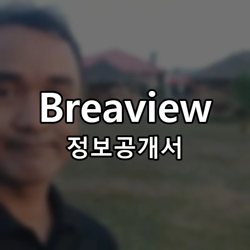 브레뷰 창업 Breaview 프랜차이즈 정보공개서 요약 2025.09.03