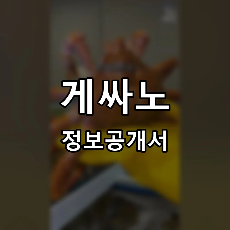 게싸노 프랜차이즈 창업 비용 정보공개서 요약