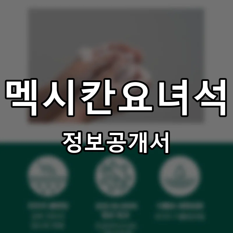 멕시칸요녀석 프랜차이즈 창업 비용 정보공개서 요약