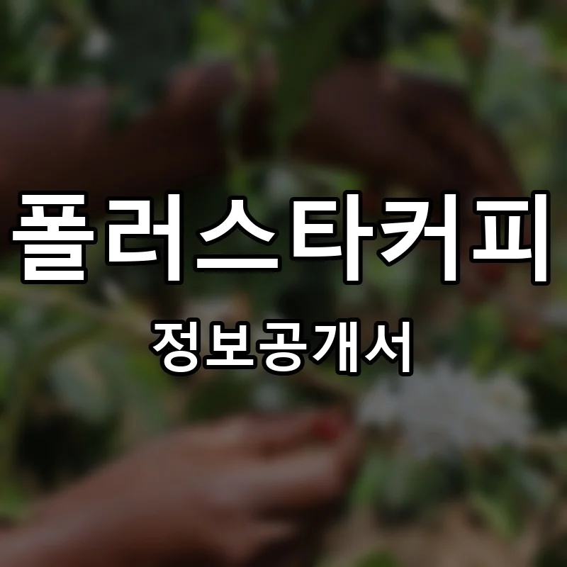 폴러스타커피 프랜차이즈 정보공개서