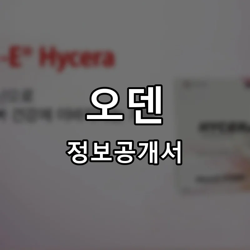오덴 프랜차이즈 창업 비용 정보공개서 요약