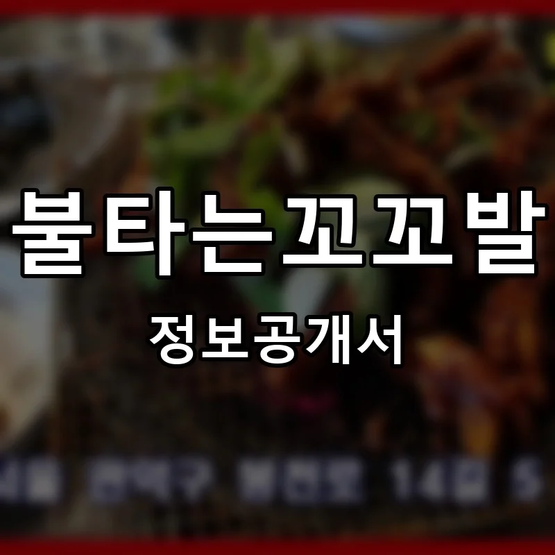 불타는꼬꼬발 프랜차이즈 창업 비용 정보공개서 요약