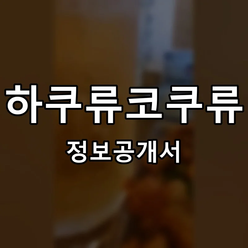 하쿠류코쿠류 프랜차이즈 창업 비용 정보공개서 요약