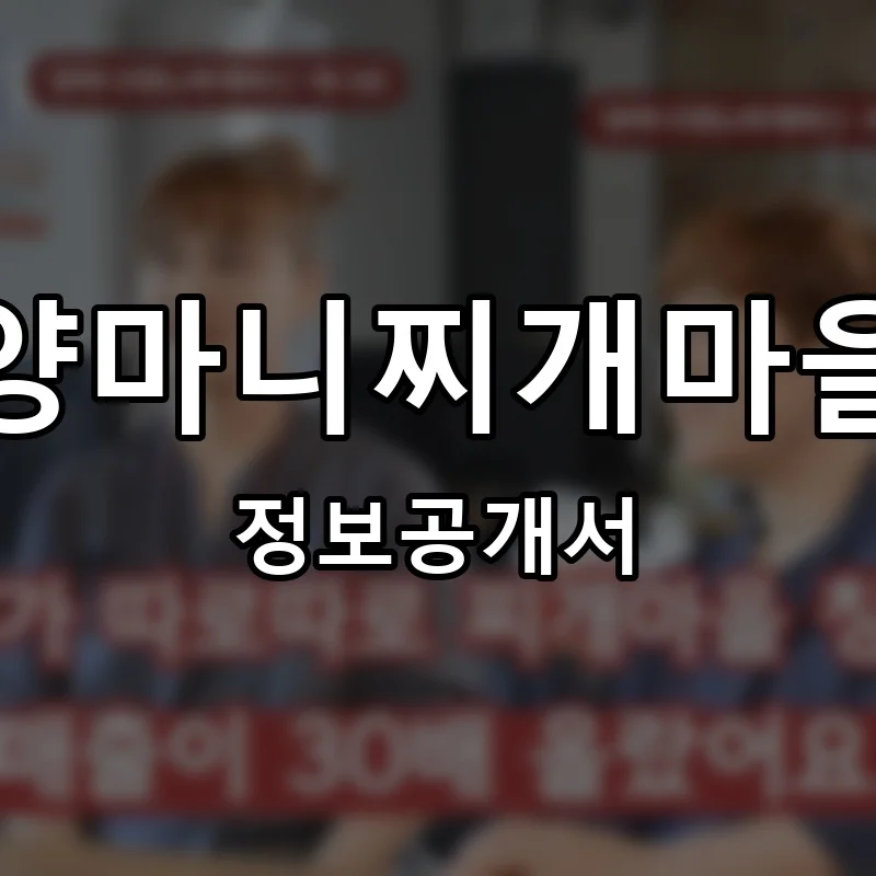 양마니찌개마을 프랜차이즈 창업 비용 정보공개서 요약