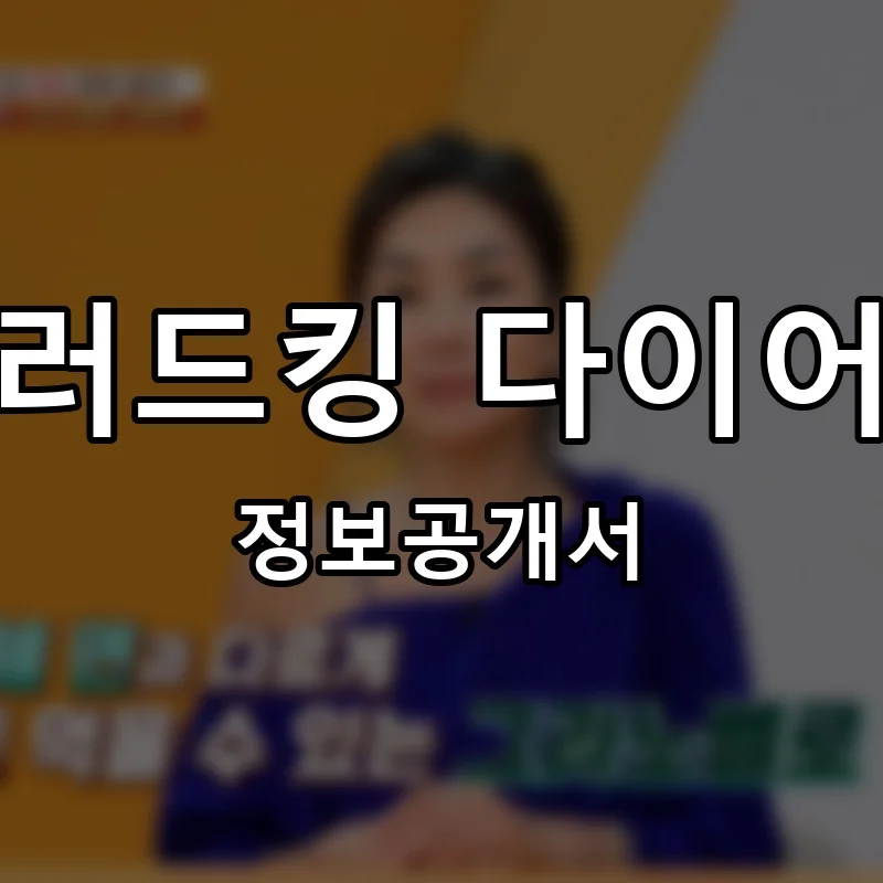 샐러드킹 다이어트 프랜차이즈 창업 비용 정보공개서 요약