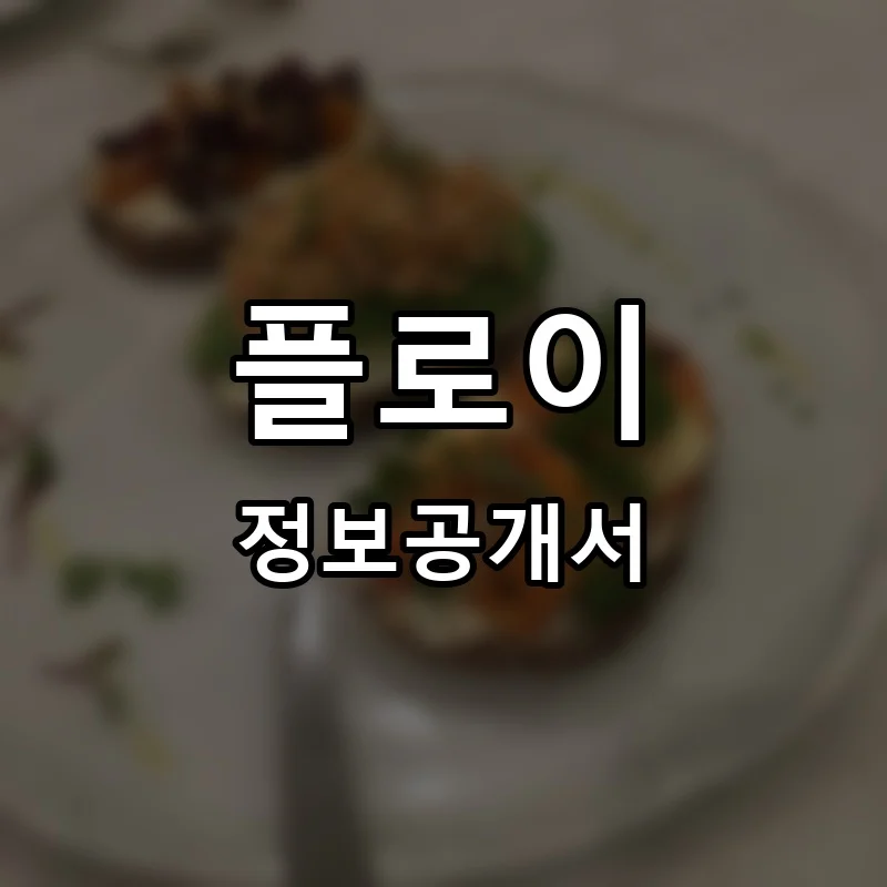 플로이(ploi) 프랜차이즈 정보공개서