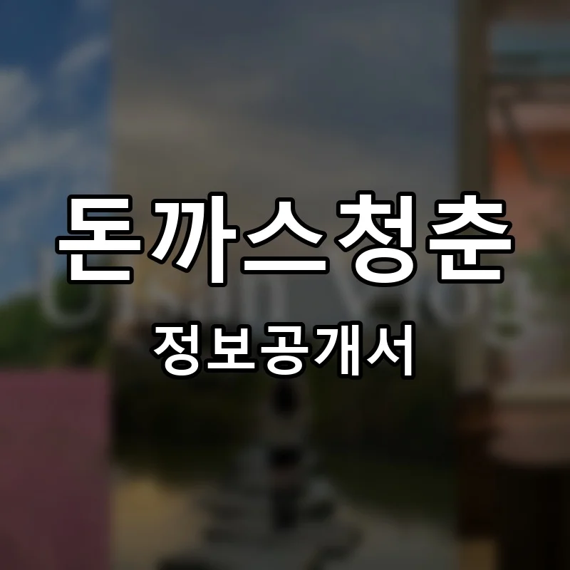 돈까스청춘 프랜차이즈 창업 비용 정보공개서 요약