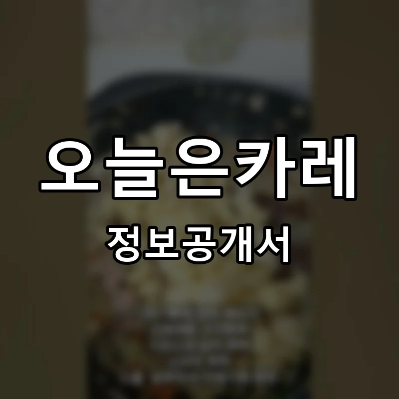오늘은카레 프랜차이즈 창업 비용 정보공개서 요약