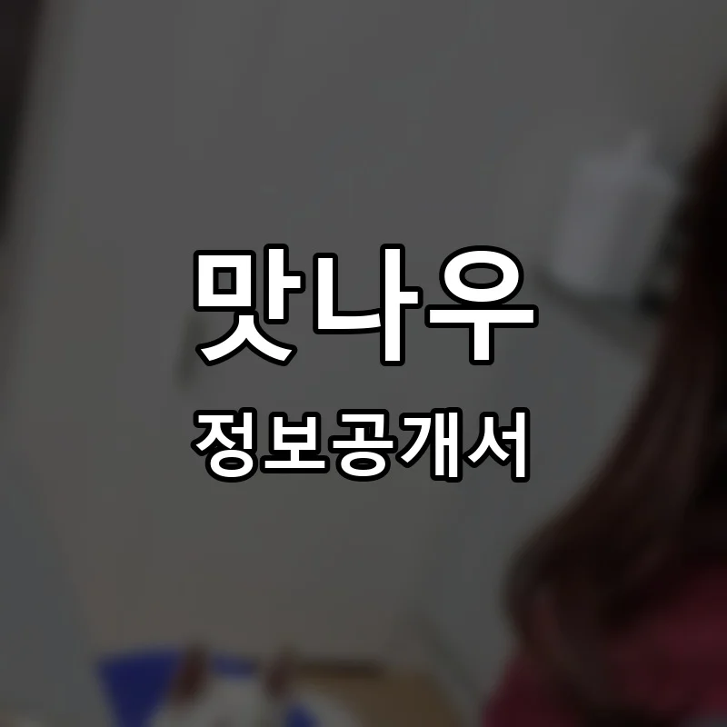 맛나우 프랜차이즈 창업 비용 정보공개서 요약