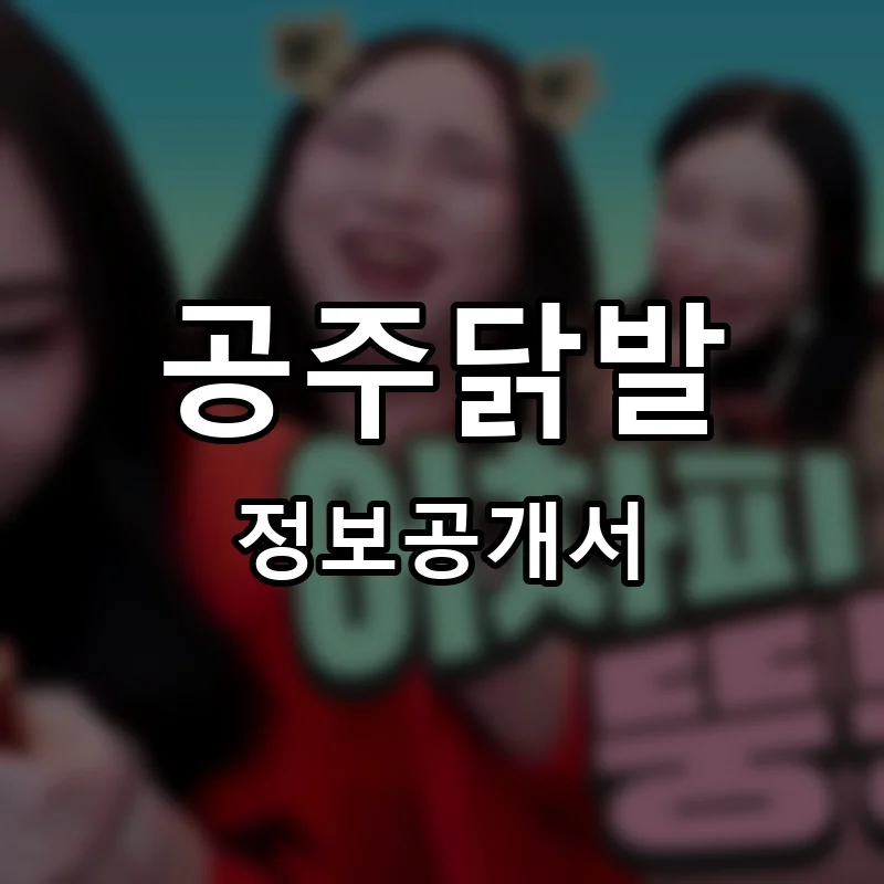 공주닭발 프랜차이즈 창업 비용 정보공개서 요약