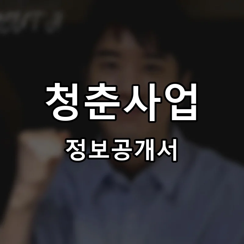 청춘사업 프랜차이즈 창업 비용 정보공개서 요약