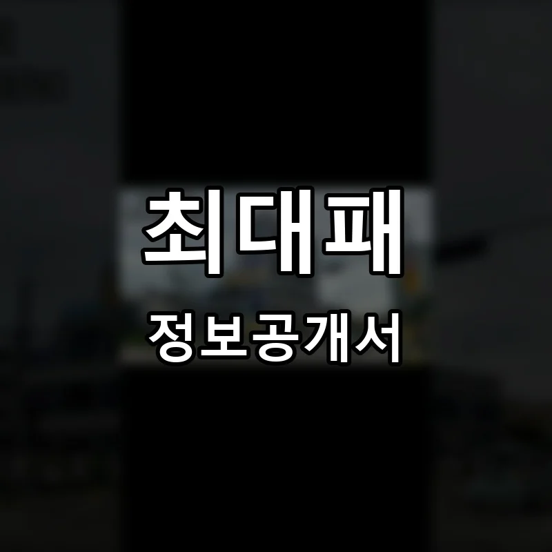 최대패 프랜차이즈 창업 비용 정보공개서 요약