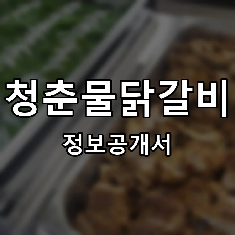 청춘물닭갈비 프랜차이즈 창업 비용 정보공개서 요약