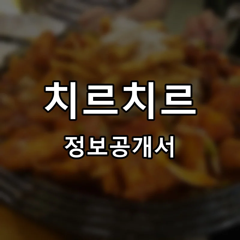 치르치르 프랜차이즈 창업 비용 정보공개서 요약