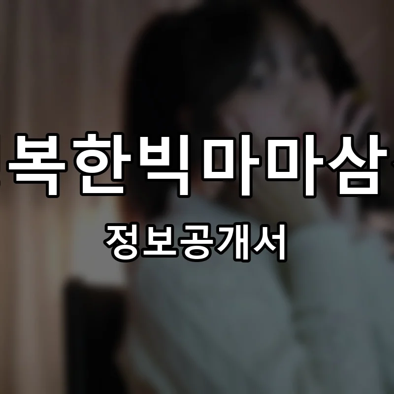 행복한빅마마삼겹 프랜차이즈 창업 비용 정보공개서 요약