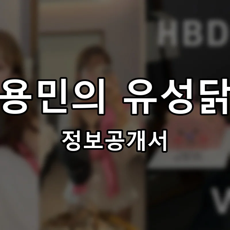 이용민의 유성닭발 프랜차이즈 창업 비용 정보공개서 요약