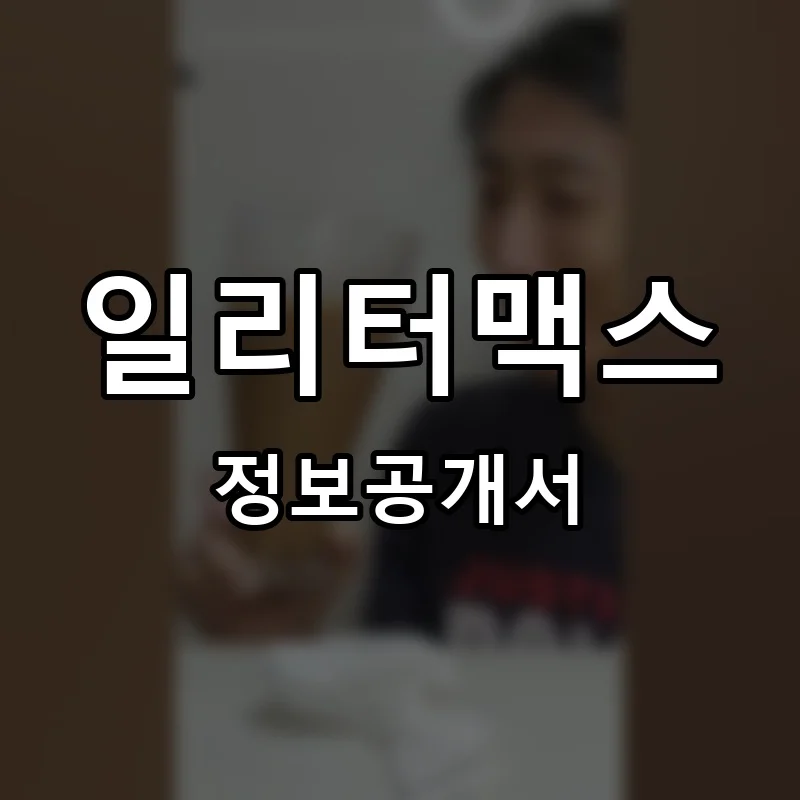 일리터맥스 프랜차이즈 창업 비용 정보공개서 요약