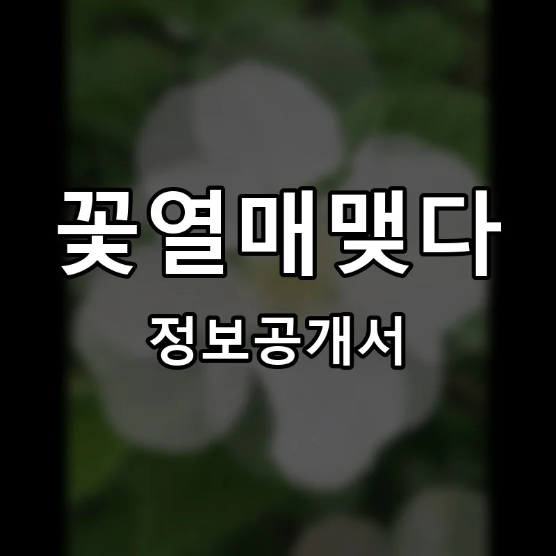 꽃열매맺다 프랜차이즈 창업 비용 정보공개서 요약
