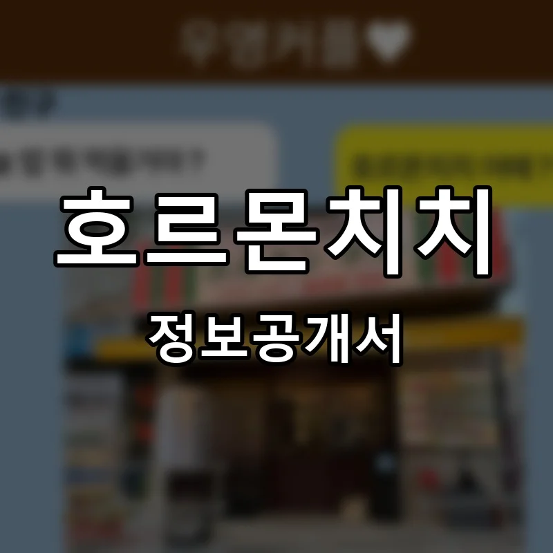 호르몬치치 프랜차이즈 정보공개서