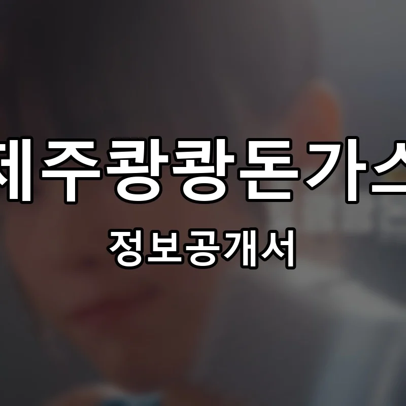 제주쾅쾅돈가스 프랜차이즈 창업 비용 정보공개서 요약