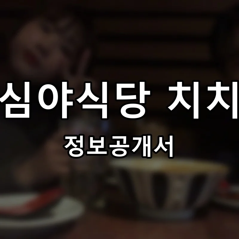 심야식당 치치 프랜차이즈 창업 비용 정보공개서 요약
