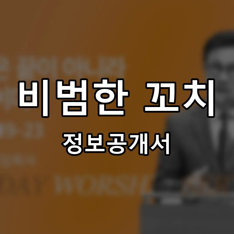 비범한 꼬치 프랜차이즈 창업 비용 정보공개서 요약