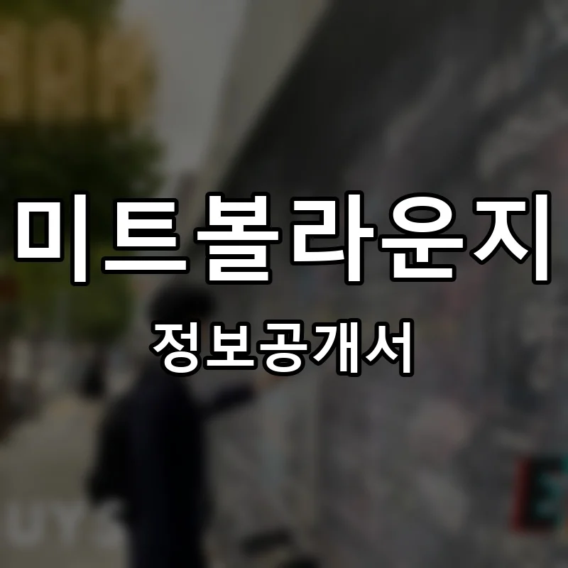 미트볼라운지 프랜차이즈 창업 비용 정보공개서 요약