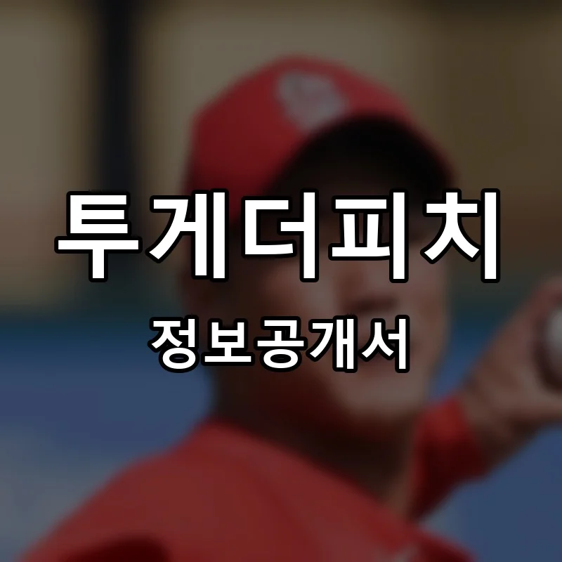 투게더피치 프랜차이즈 정보공개서