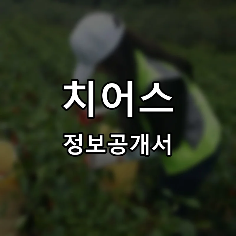 치어스 프랜차이즈 창업 비용 정보공개서 요약